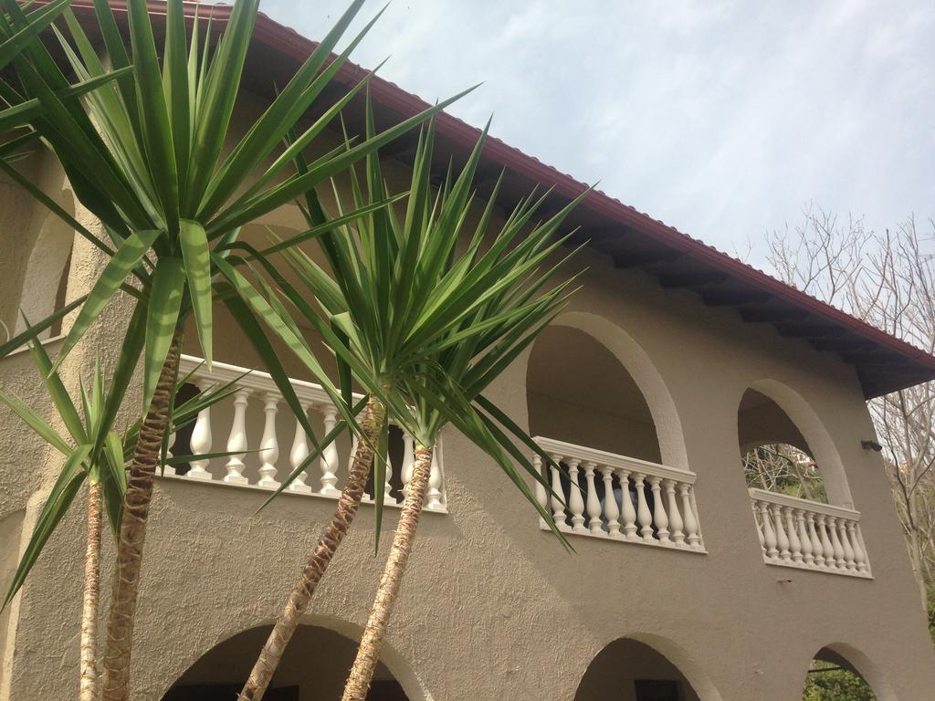 The Beach House - Apartments & Studios (Adults Only) Afytos Exterior foto